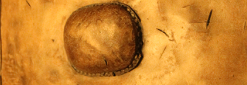 Clonoura shield Clonoura shield