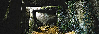 The Most Powerful Druidess of Ancient Ireland The Most Powerful Druidess of Ancient Ireland