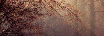 The Witch of the Mists The Witch of the Mists
