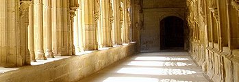 The War of Wisdom The War of Wisdom