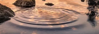 The Water Horse The Water Horse